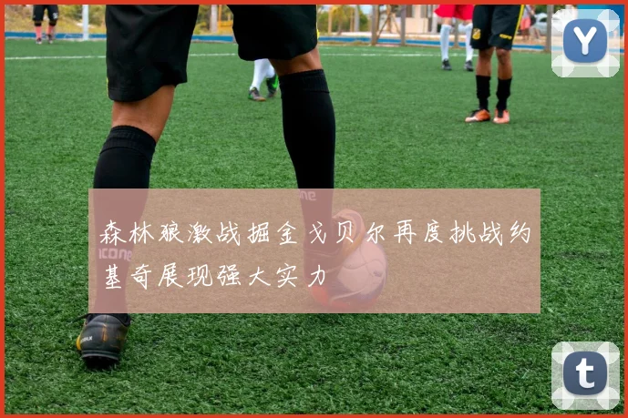 森林狼激战掘金戈贝尔再度挑战约基奇展现强大实力
